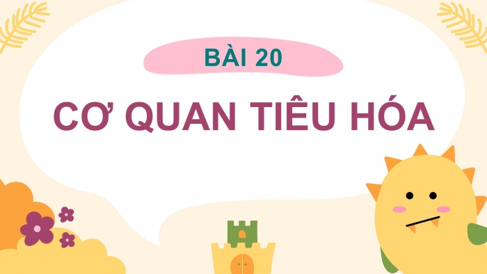 Giáo án điện tử bài 20: Cơ quan tiêu hóa