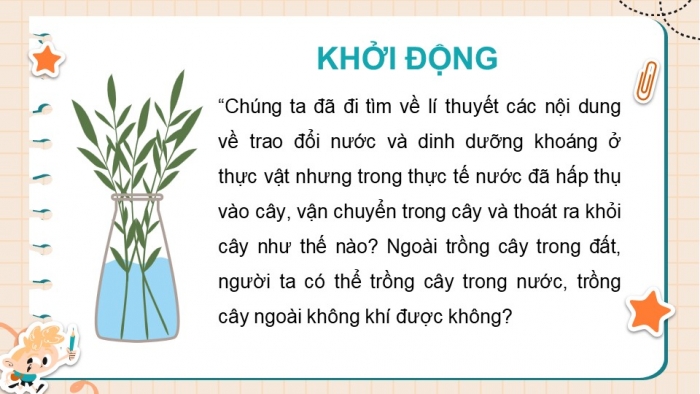 Giáo án điện tử Sinh học 11 chân trời Bài 3: Thực hành: Thí nghiệm trao đổi nước ở thực vật và trồng cây bằng thuỷ canh, khí canh