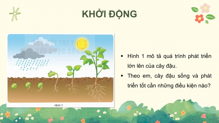 Giáo án điện tử Khoa học 4 kết nối Bài 15: Thực vật cần gì để sống?