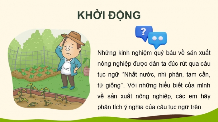 Giáo án điện tử KHTN 8 cánh diều Bài 13: Phân bón hoá học