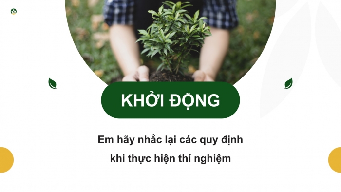 Giáo án điện tử Sinh học 11 chân trời Bài 16: Thực hành: Cảm ứng ở thực vật