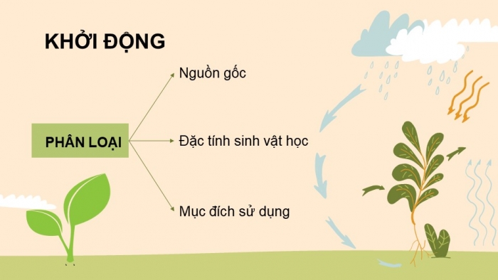 Giáo án điện tử công nghệ 10 – Trồng trọt kết nối bài 2: Cây trồng và các yếu tố chính trong trồng trọt