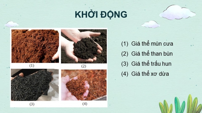 Giáo án điện tử công nghệ 10 – Trồng trọt kết nối bài 5: Giá thể cây trồng