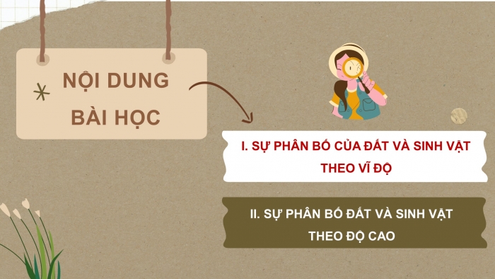 Giáo án điện tử địa lí 10 chân trời bài 16: Thực hành - Phân tích sự phân bố của đất và sinh vật trên trái đất