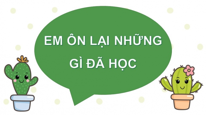 Giáo án điện tử toán 3 cánh diều bài: Em ôn lại những gì đã học