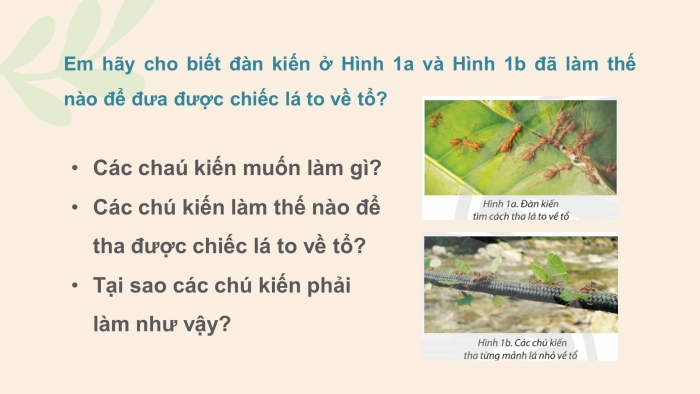 Giáo án điện tử tin học 3 chân trời bài 13: Chia việc lớn thành việc nhỏ để giải quyết