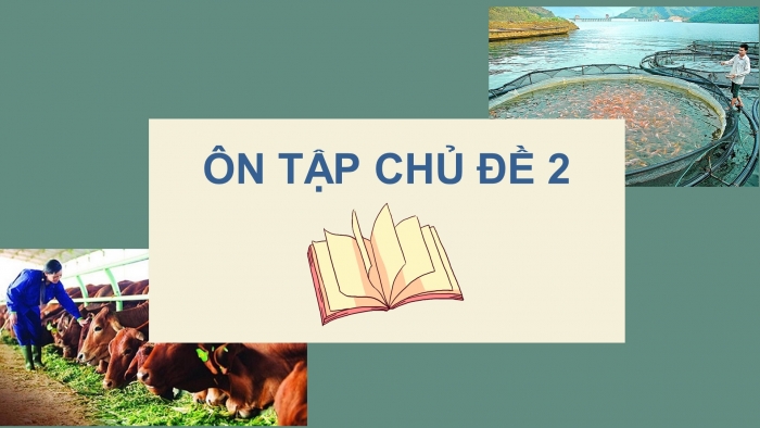  Giáo án điện tử công nghệ 7 cánh diều bài: Ôn tập chủ đề 2