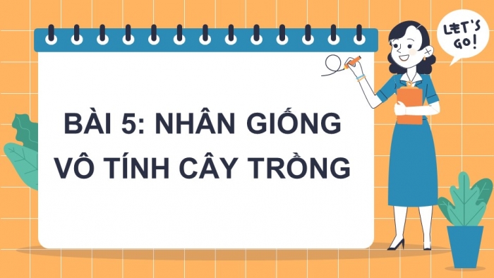 Giáo án PowerPoint bài 5: Nhân giống vô tính cây trồng