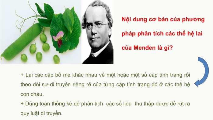 Giáo án điện tử sinh học 9 bài 2: Lai một cặp tính trạng