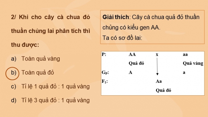 Giáo án điện tử sinh học 9 bài 4: Lai hai cặp tính trạng