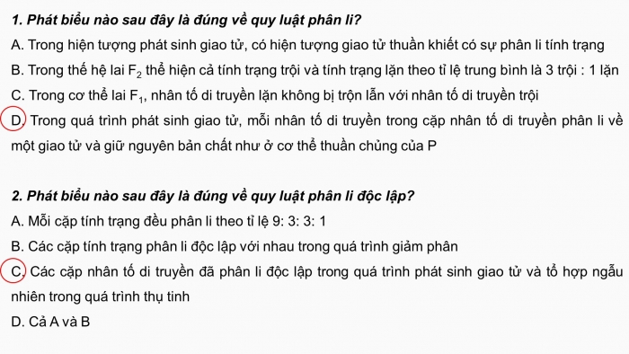 Giáo án điện tử sinh học 9 bài 7: Bài tập chương I