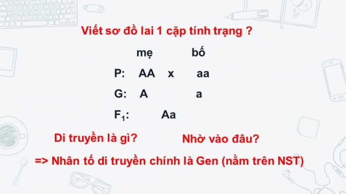 Giáo án điện tử sinh học 9 bài 8:  Nhiễm sắc thể