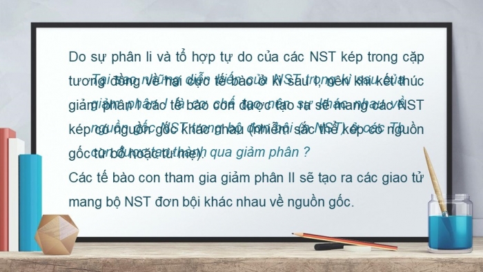 Giáo án điện tử sinh học 9 bài 11: Phát sinh giao tử và thụ tinh