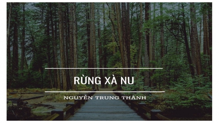 Giáo án điện tử Ngữ văn 12 bài: Rừng xà nu