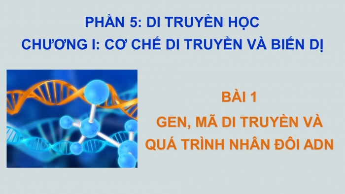 Giáo án điện tử Sinh học 12 bài 1: Gen, mã di truyền và quá trình nhân đôi ADN