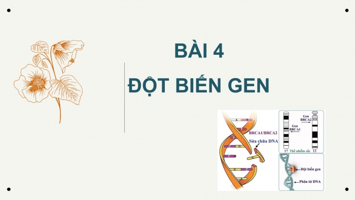 Giáo án điện tử Sinh học 12 bài 4: Đột biến gen