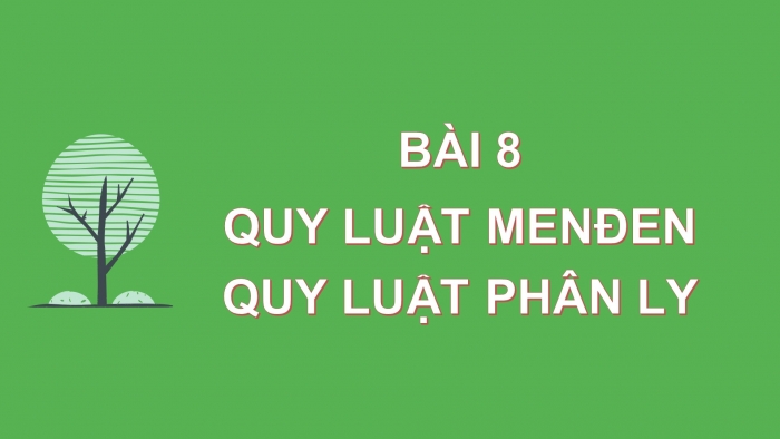 Giáo án điện tử Sinh học 12 bài 8: Quy luật Menđen: Quy luật phân li