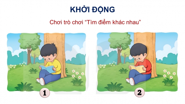 Giáo án điện tử Tiếng Việt 4 kết nối Bài 3 Đọc: Anh em sinh đôi