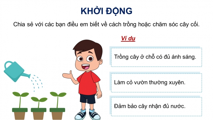 Giáo án điện tử Tiếng Việt 4 kết nối Bài 10 Đọc: Tiếng nói của cỏ cây