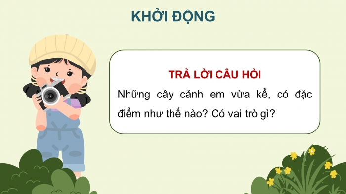 Giáo án điện tử Công nghệ 4 cánh diều Bài 3: Một số loại cây cảnh phổ biến