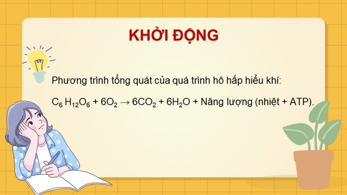 Giáo án điện tử Sinh học 11 chân trời Bài 7: Thực hành: Một số thí nghiệm về hô hấp ở thực vật