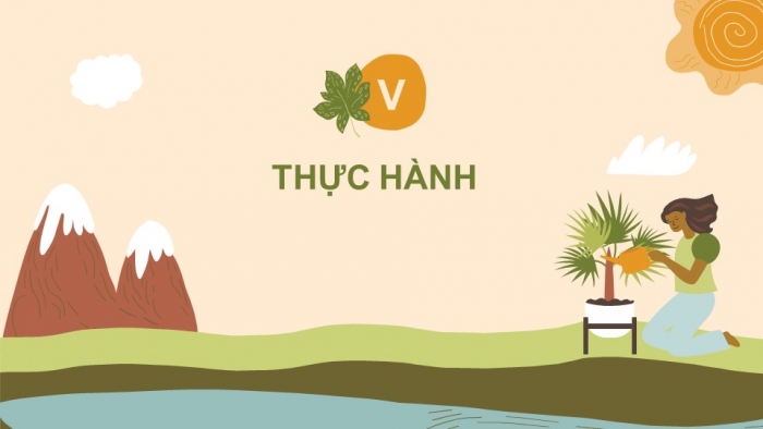 Giáo án điện tử Sinh học 11 cánh diều Bài 4: Quang hợp ở thực vật (P2)