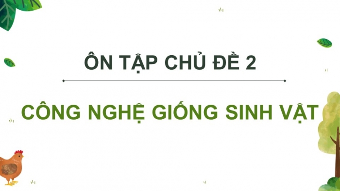 Giáo án điện tử Công nghệ chăn nuôi 11 cánh diều: Ôn tập chủ đề 2