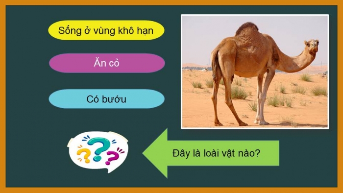 Giáo án powerpoint địa lí 7