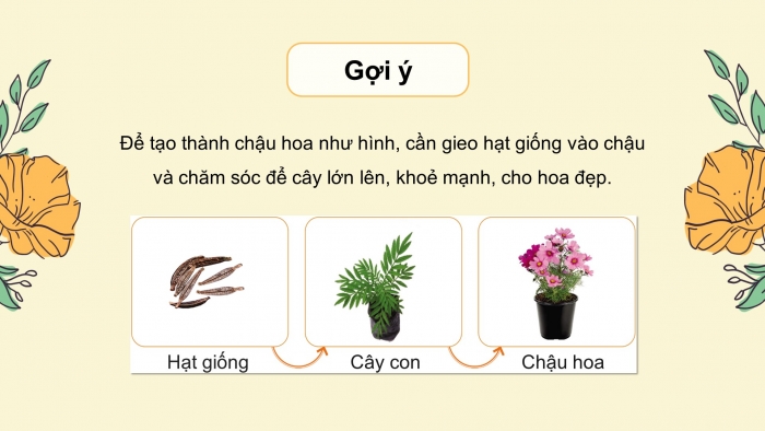 Giáo án điện tử Công nghệ 4 cánh diều Bài 5: Gieo hạt và trồng cây con trong chậu