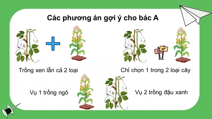 Giáo án điện tử bài 2: Các phương thức trồng trọt ở Việt Nam