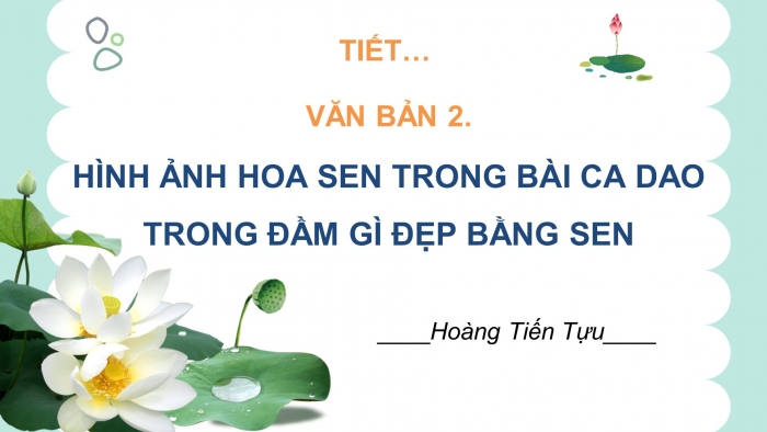 Giáo án điện tử ngữ văn 7 chân trời tiết: Văn bản 2 - Hình ảnh hoa sen trong bài ca dao trong đầm gì đẹp bằng sen