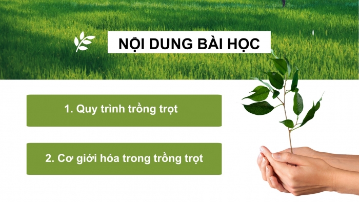 Giáo án điện tử công nghệ trồng trọt 10 kết nối bài 19: Quy trình trồng trọt và cơ giới hoá trong trồng trọt