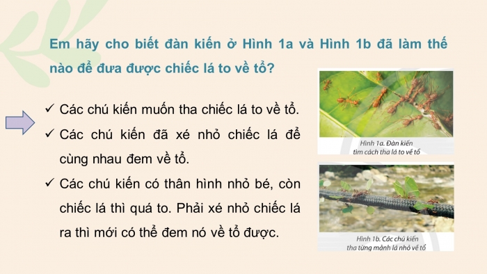 Giáo án điện tử tin học 3 chân trời bài 13: Chia việc lớn thành việc nhỏ để giải quyết