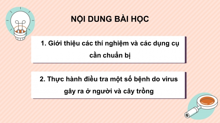 Giáo án điện tử sinh học 10 kết nối bài 26: Thực hành - Điều tra một số bệnh do virus & tuyên truyền phòng chống bệnh