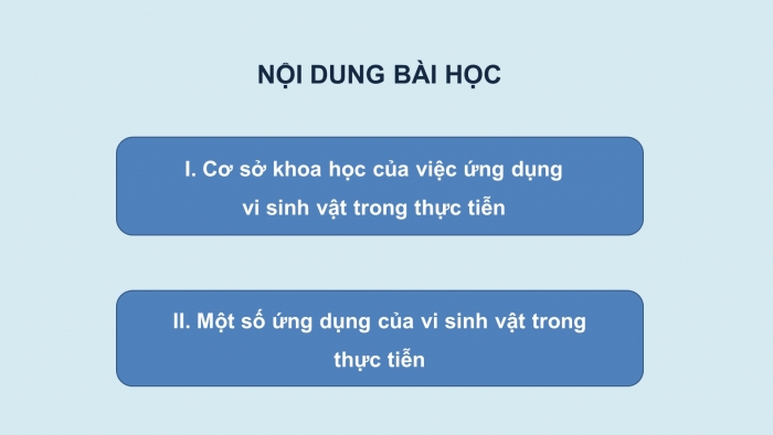 Giáo án điện tử sinh học 10 chân trời bài 27: Ứng dụng vi sinh vật trong thực tiễn