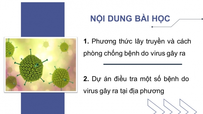 Giáo án điện tử sinh học 10 chân trời bài 31: Virus gây bệnh