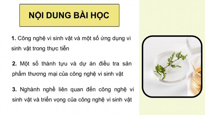 Giáo án điện tử sinh học 10 cánh diều bài 20: Thành tựu của công nghệ vi sinh vật và ứng dụng của vi sinh vật