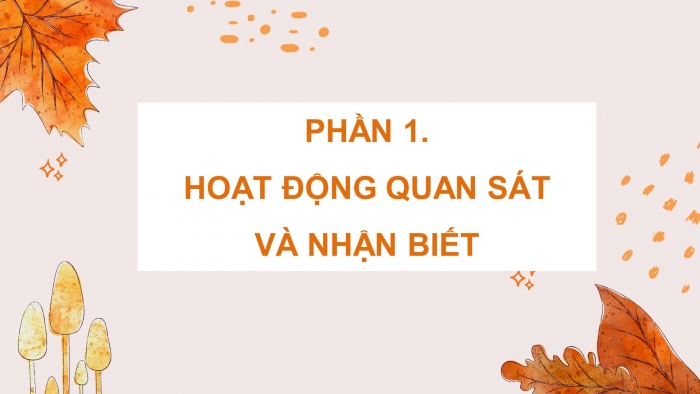  Giáo án powerpoint mĩ thuật 4 cánh diều