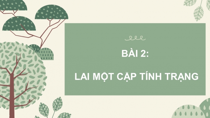 Giáo án điện tử sinh học 9 bài 2: Lai một cặp tính trạng