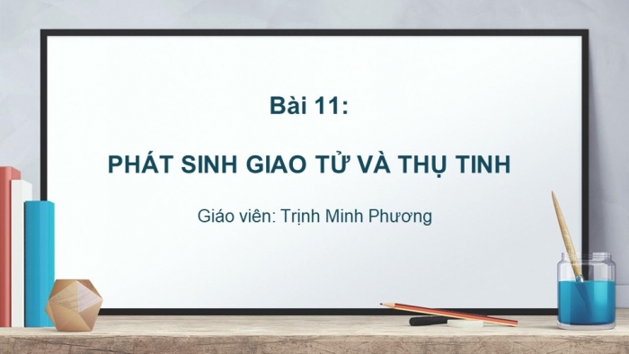 Giáo án điện tử sinh học 9 bài 11: Phát sinh giao tử và thụ tinh