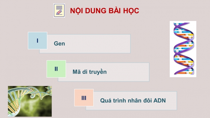 Giáo án điện tử Sinh học 12 bài 1: Gen, mã di truyền và quá trình nhân đôi ADN