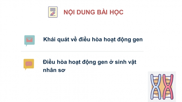 Giáo án điện tử Sinh học 12 bài 3: Điều hoà hoạt động gen