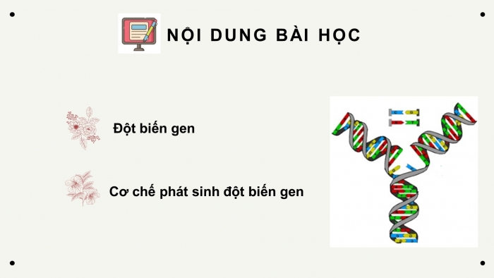 Giáo án điện tử Sinh học 12 bài 4: Đột biến gen