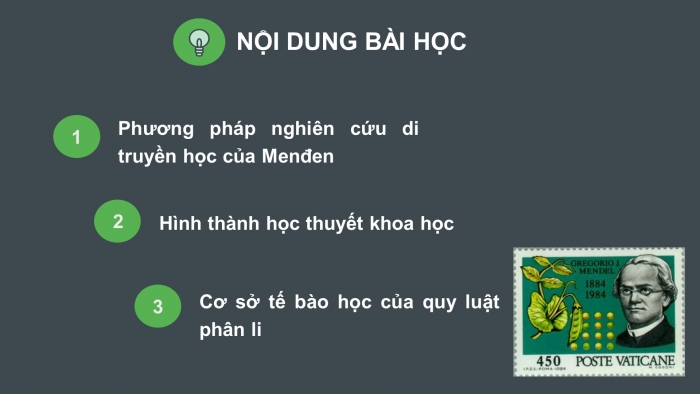 Giáo án điện tử Sinh học 12 bài 8: Quy luật Menđen: Quy luật phân li