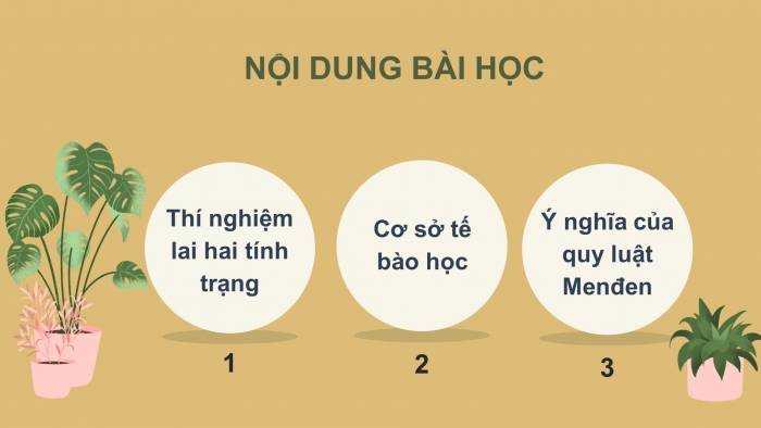 Giáo án điện tử Sinh học 12 bài 9: Quy luật Menđen: Quy luật phân li độc lập