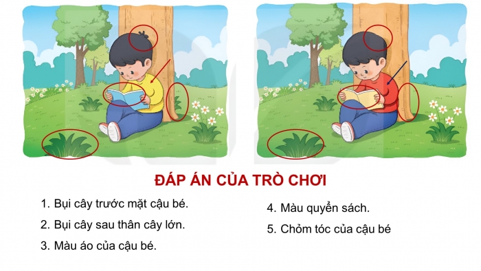Giáo án điện tử Tiếng Việt 4 kết nối Bài 3 Đọc: Anh em sinh đôi