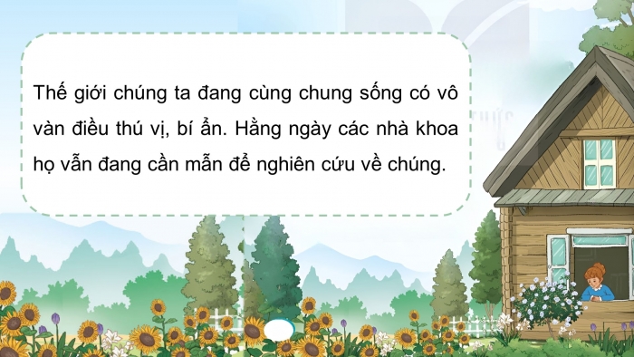 Giáo án điện tử Tiếng Việt 4 kết nối Bài 10 Đọc: Tiếng nói của cỏ cây