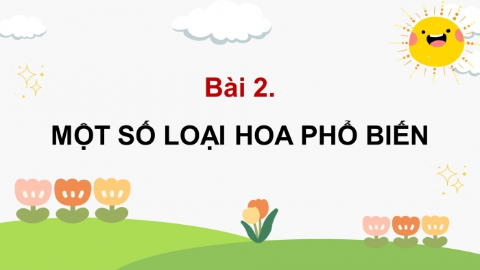 Giáo án điện tử Công nghệ 4 cánh diều Bài 2: Một số loại hoa phổ biến