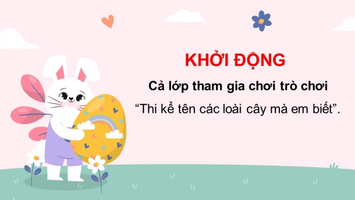 Giáo án điện tử bài 19: Ôn tập chủ đề thực vật và động vật