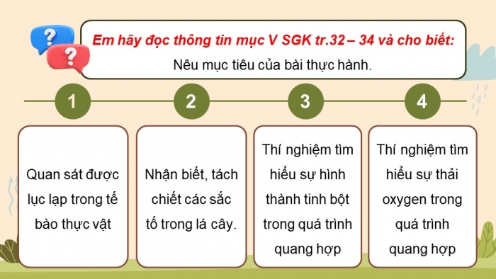 Giáo án điện tử Sinh học 11 cánh diều Bài 4: Quang hợp ở thực vật (P2)